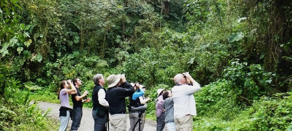 Birders in Uganda