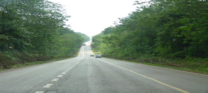 Day 29: Uganda’s Natural Forests