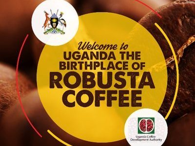 Day 28: Uganda’s Coffee