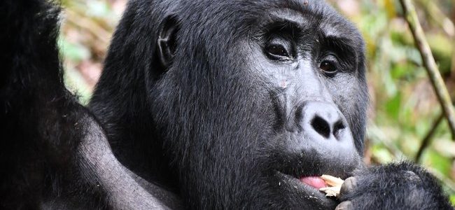 Day 1: Unique Selling Preposition or Points (USP)