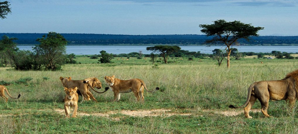 Murchison Falls Wildlife Park