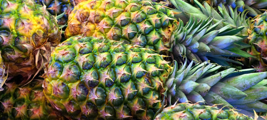 Organic Products from Uganda